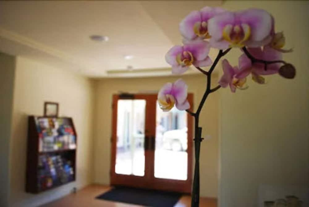 Bella Capri Inn And Suites كاماريللو المظهر الخارجي الصورة