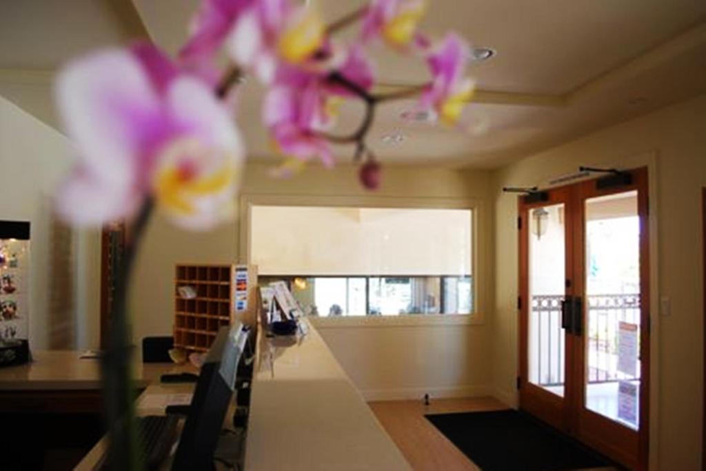 Bella Capri Inn And Suites كاماريللو المظهر الخارجي الصورة